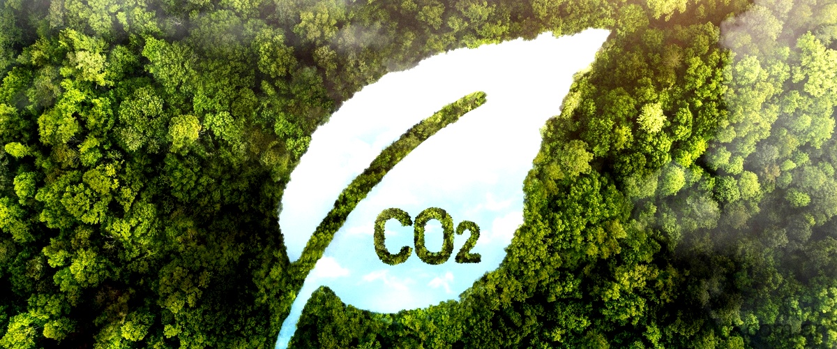 La tecnología de captura de carbono de Bergen Carbon Solutions: una solución para combatir el cambio climático