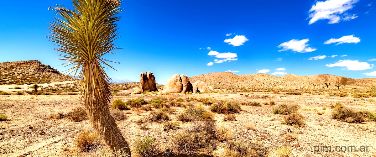 Tabernas Desert 2023: Vive la emoción del MTB en el paraíso del desierto